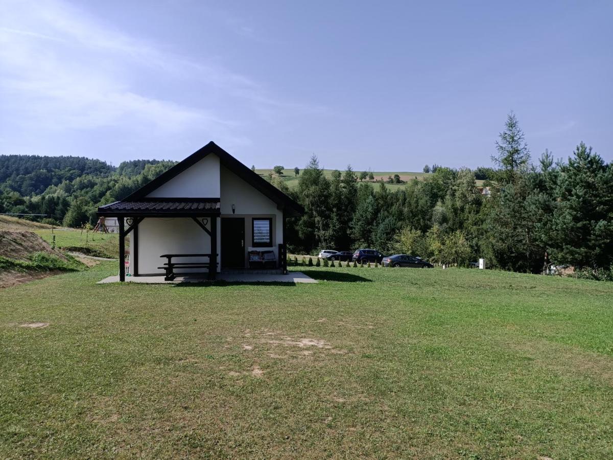 Na Horbie669 -395-830- Holiday home Bukowiec (Podkarpackie)